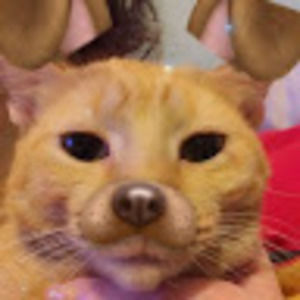 Meet your Posher, Travel